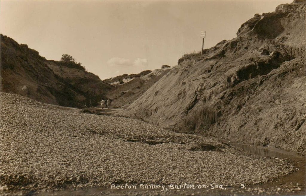 becton-bunny-postcard