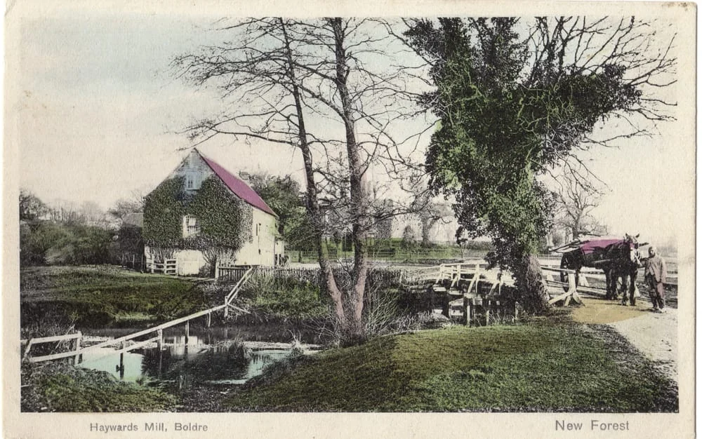 A tranquil scene of Haywards Mill, Boldre in New Forest, with a vine-covered building by a pond, a white footbridge, bare trees, and a horse-drawn cart with people crossing a small bridge.