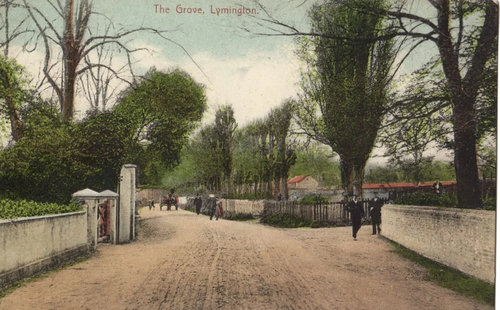 photos of the Grove