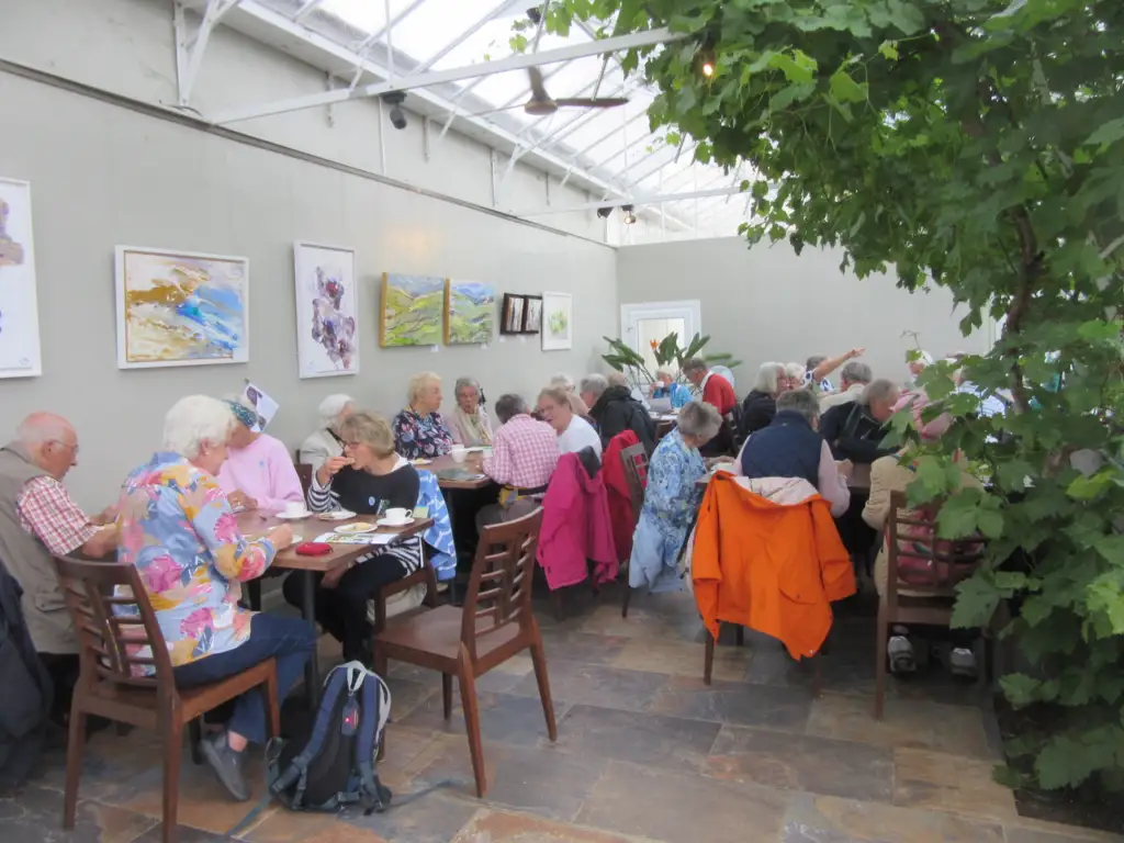 A group of elderly people sit at several tables in a bright, indoor café with artwork on the walls and a large leafy plant nearby, enjoying food and conversation.